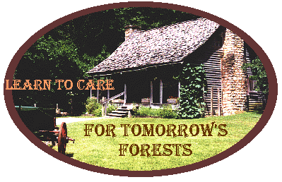 Learn To Care for Tomorrows Forests