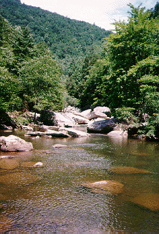 Another fine swimming hole.