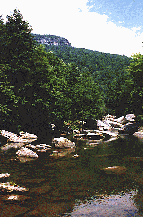 A swimming hole on the river.