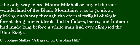Quote from A Saga of the Carolinas C. Hodge Mathes